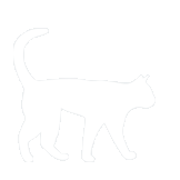 Underweight cat active